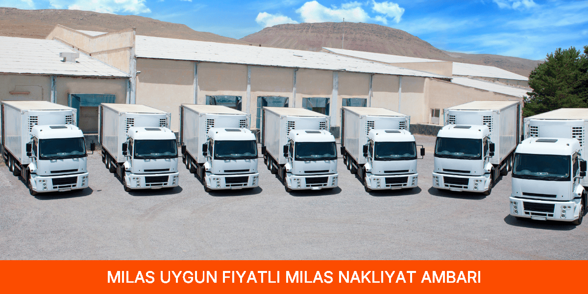 Uygun Fiyatlı Milas Nakliyat Ambarı